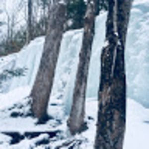 Meet your Posher, Kira